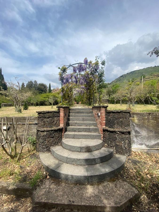Villa Caterina, Alle Pendici Del Vulcano Etna Viagrande Eksteriør billede