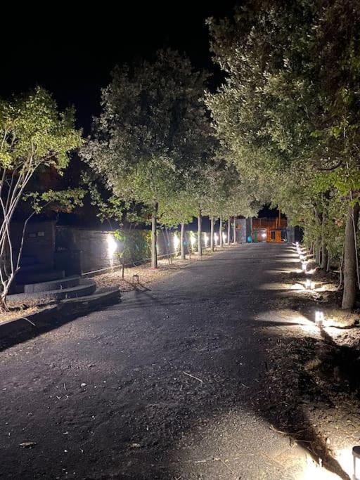 Villa Caterina, Alle Pendici Del Vulcano Etna Viagrande Eksteriør billede