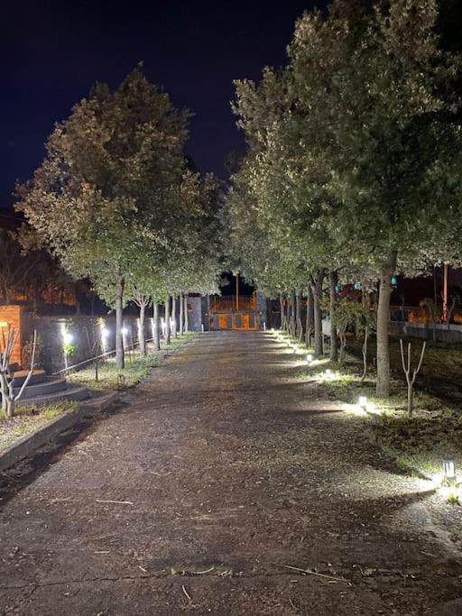 Villa Caterina, Alle Pendici Del Vulcano Etna Viagrande Eksteriør billede